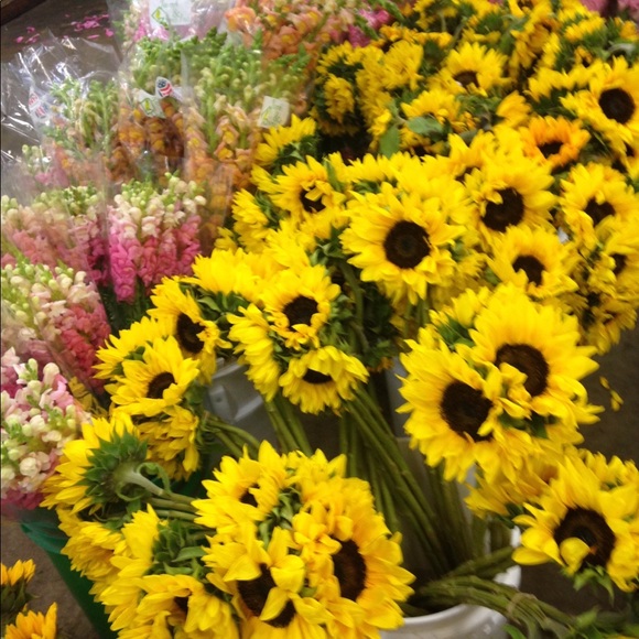 Meet your Posher, Laurie - Picture 1 of 1